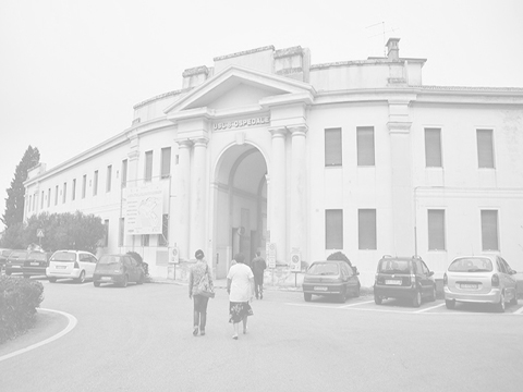 Chi siamo